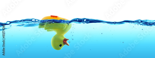 Fotomural duck drowned - failure and SOS concept