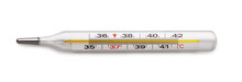 Medical Mercury Thermometer
