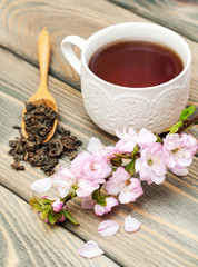 Poster - Cup of tea and sakura blossom