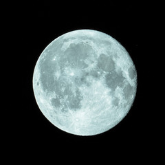 Wall Mural - full moon