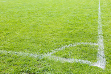 Wall Mural - Football field stadium background