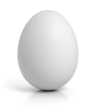 Chicken Egg On White