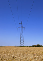 power lines  