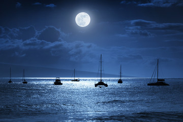 Wall Mural - moonlit nighttime sky over a calm ocean scene in maui hawaii