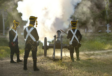 Napoleonic Artillery Shooting