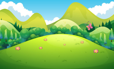 Field