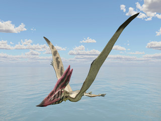 Wall Mural - Pterosaur Thalassodromeus