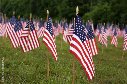 Fotografie, Obraz A lot of american flags. Memorial/ Independence Day celebration