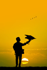 falconry at sunset