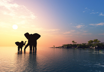 elephant.