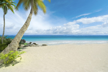 Sticker - Empty tropical beach