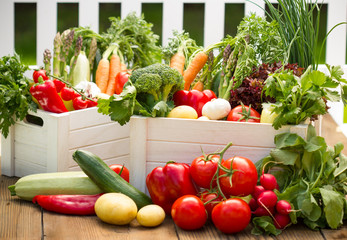 Wall Mural - Fresh vegetables in the crates in the garden
