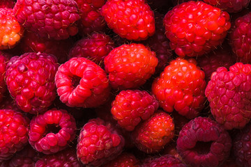 Canvas Print - raspberries close up