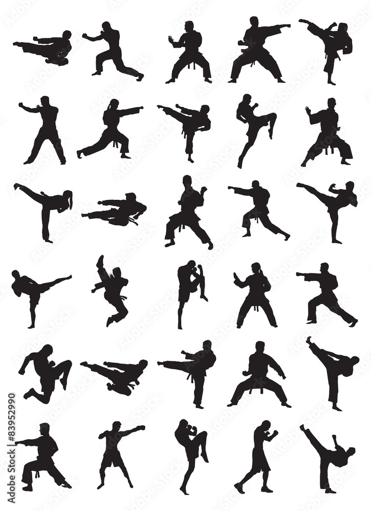 Fotografering Martial Art Silhouettes