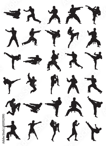 Martial Art Silhouettes Poster Mural XXL