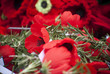 Anzac day remembrance day poppy