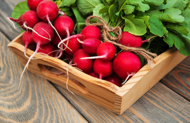 Poster - Fresh organic radish