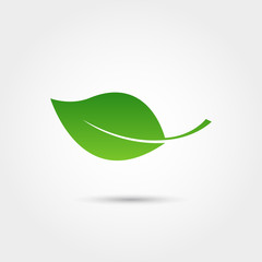eco icon with green leaf