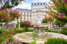 Old Fountain And Colorful Flowers In Paris