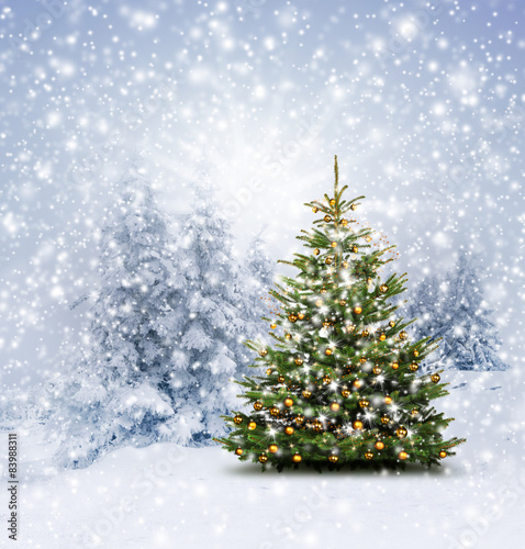 Geschmückter Weihnachtsbaum - kaufen Sie dieses Foto und ...