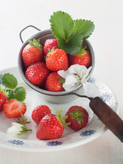 Canvas Print - Fresh strawberry