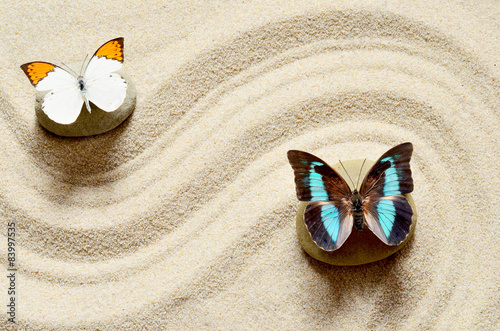 Obraz w ramie Butterfly on the sand