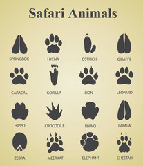 set of safari animal tracks
