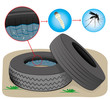 Nature, tires with stagnant water with fly breeding mosquitoes