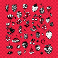 Leinwandbilder - Berries collection, sketch for your design