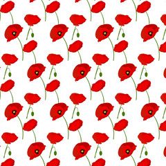Poster - Seamless pattern with poppies flowers