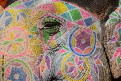 Photo Colorful elephant in Jaipur, India