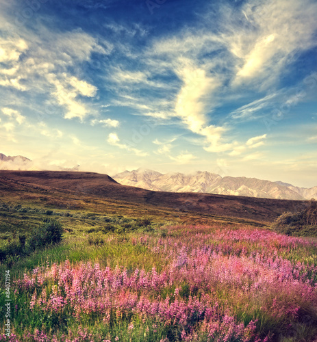 Nowoczesny obraz na płótnie Mountain Landscape