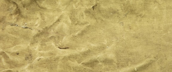 Weathered Old Pale Green Trap Fabric Background