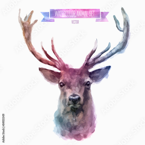Fotografie, Obraz Vector set of watercolor illustrations. Cute deer