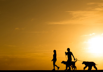 Silhouette people with the dog walking at sunset