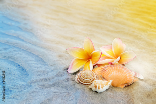 Cuadros en Lienzo frangipani flower and seashell on sand beach
