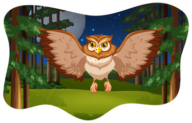 Poster - Owl flying