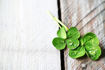 Green clover leaves with drops on wooden background