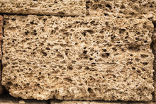 Texture Shell Limestone Closeup