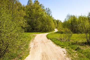 Wall Mural - the small road  