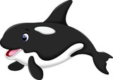 Fototapeta  - Cute killer whale cartoon