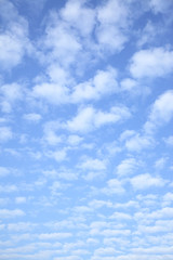 Wall Mural - bright sky with clouds