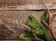 Evergreen Branch and Deer Antler on Wooden Surface