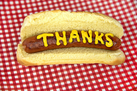 Thanks on hot dog with mustard in a bun on red and white gingham plate