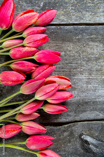 Naklejka ścienna red tulips on rustic wooden surface