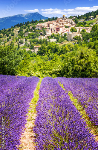 Naklejka na meble Lavender field and village, France.