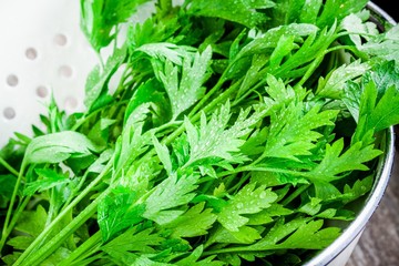 Wall Mural - organic fresh bunch of parsley with drops closeup