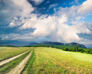 Canvas Print - road on green field. agricultural landscape