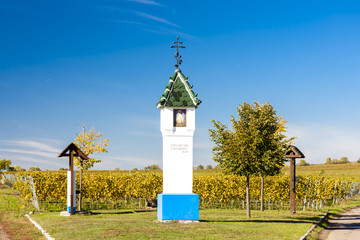 God's torture with vineyard near Velke Bilovice, Czech Republic