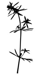 Sticker - Plant grass